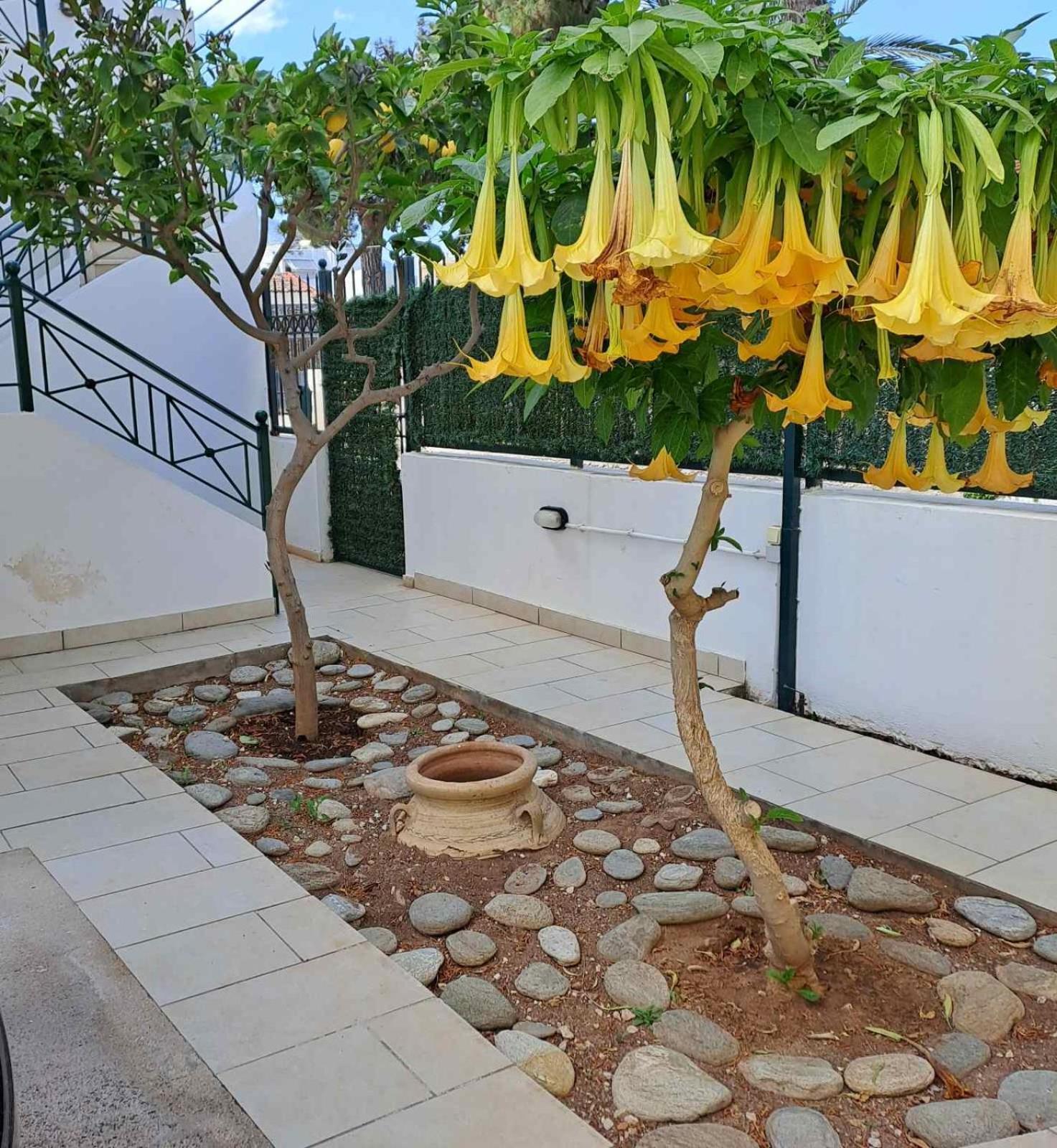 Vicky'S Place,Near Athens Airport Koropion Luaran gambar